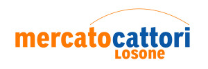 MC_Logo_Losone